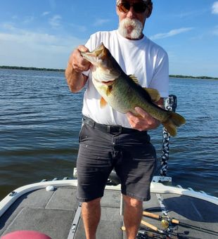 Largemouth Bass in Fort Lauderdale, FL